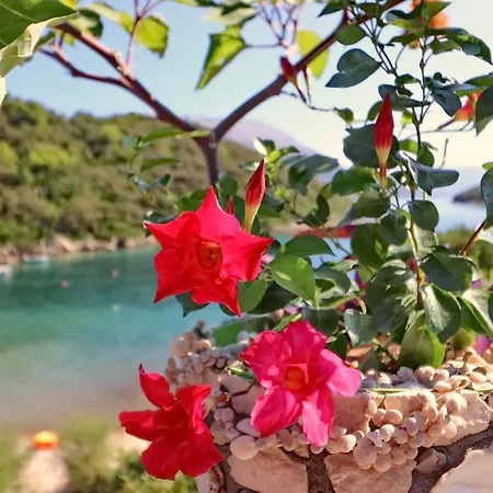 Cebalo-korcula 아파트 Zrnovo
