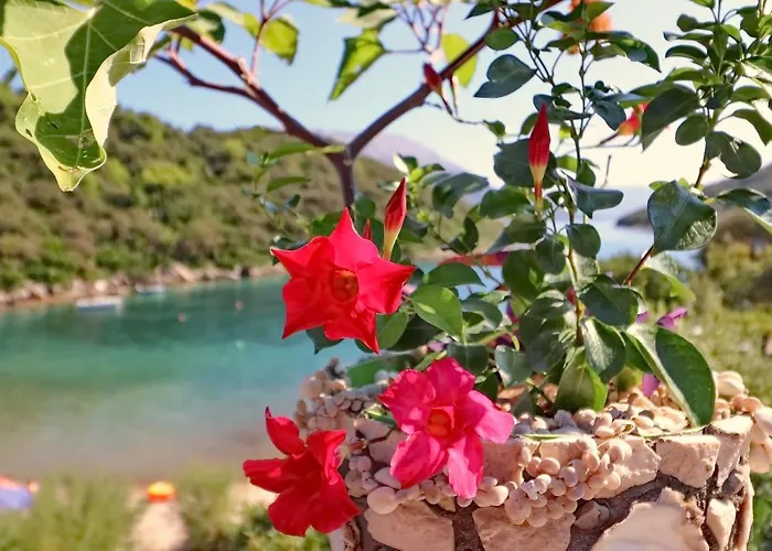 Cebalo-korcula Appartement Zrnovo